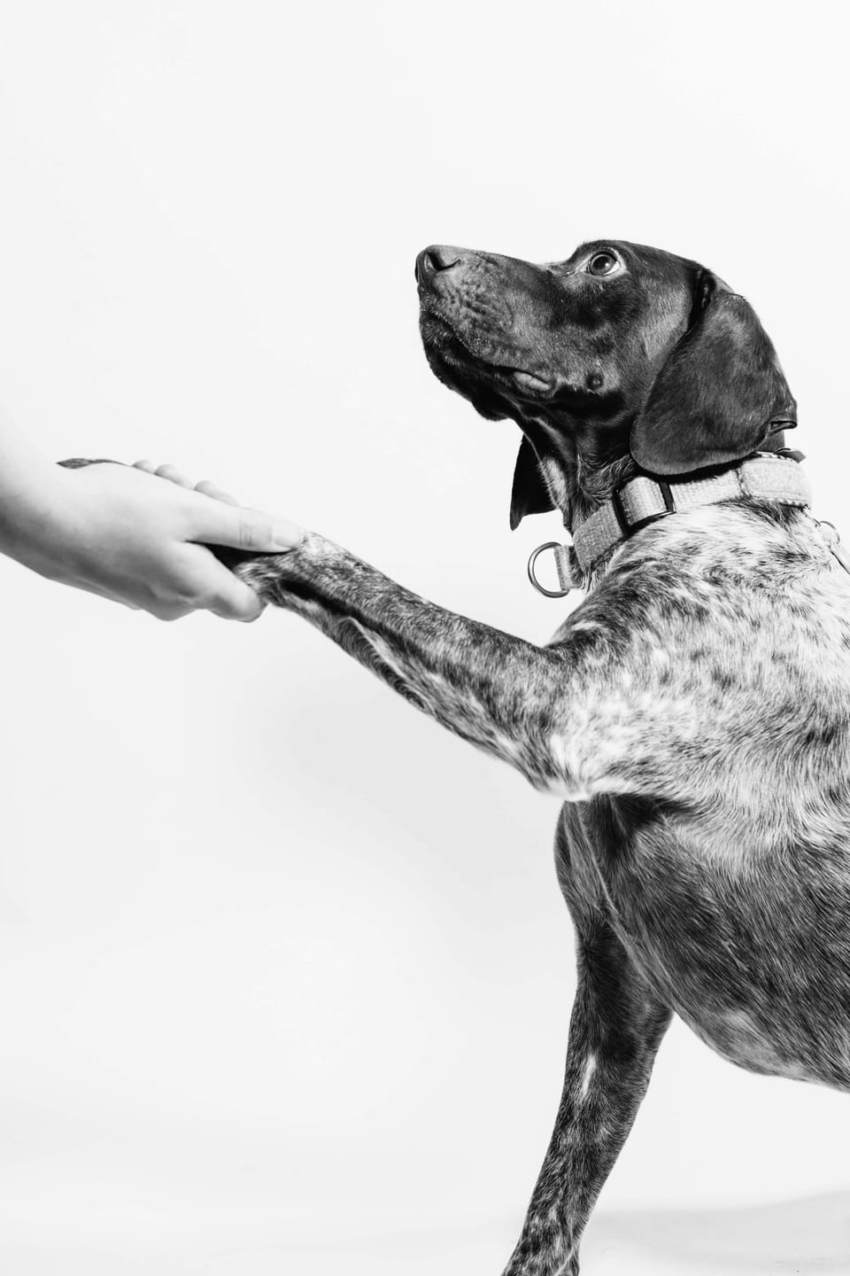 Building Trust with Residents During Negotiations: A Property Manager’s Guide to Not Losing Your Mind